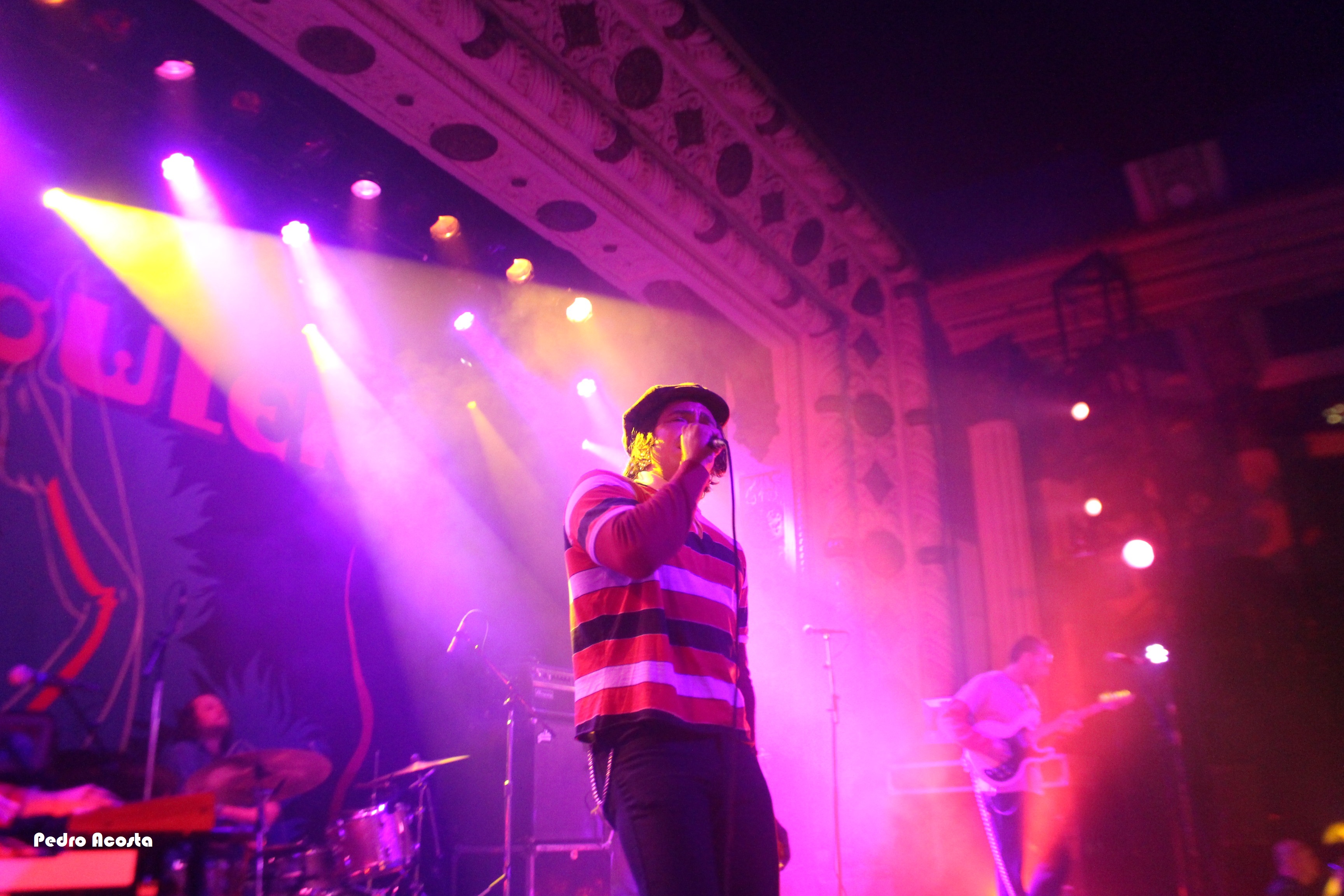 A Night with The Growlers